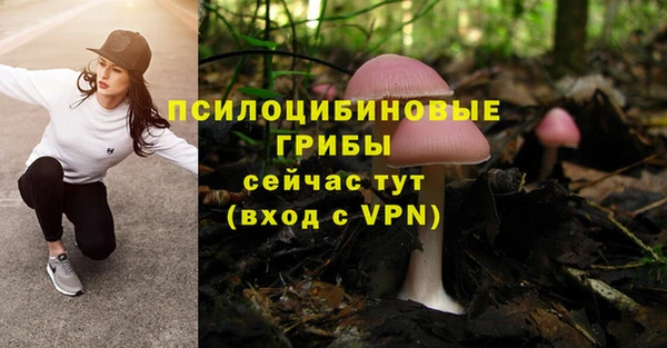 сатива Медвежьегорск