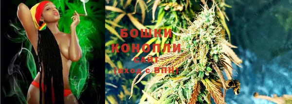 стафф Медногорск